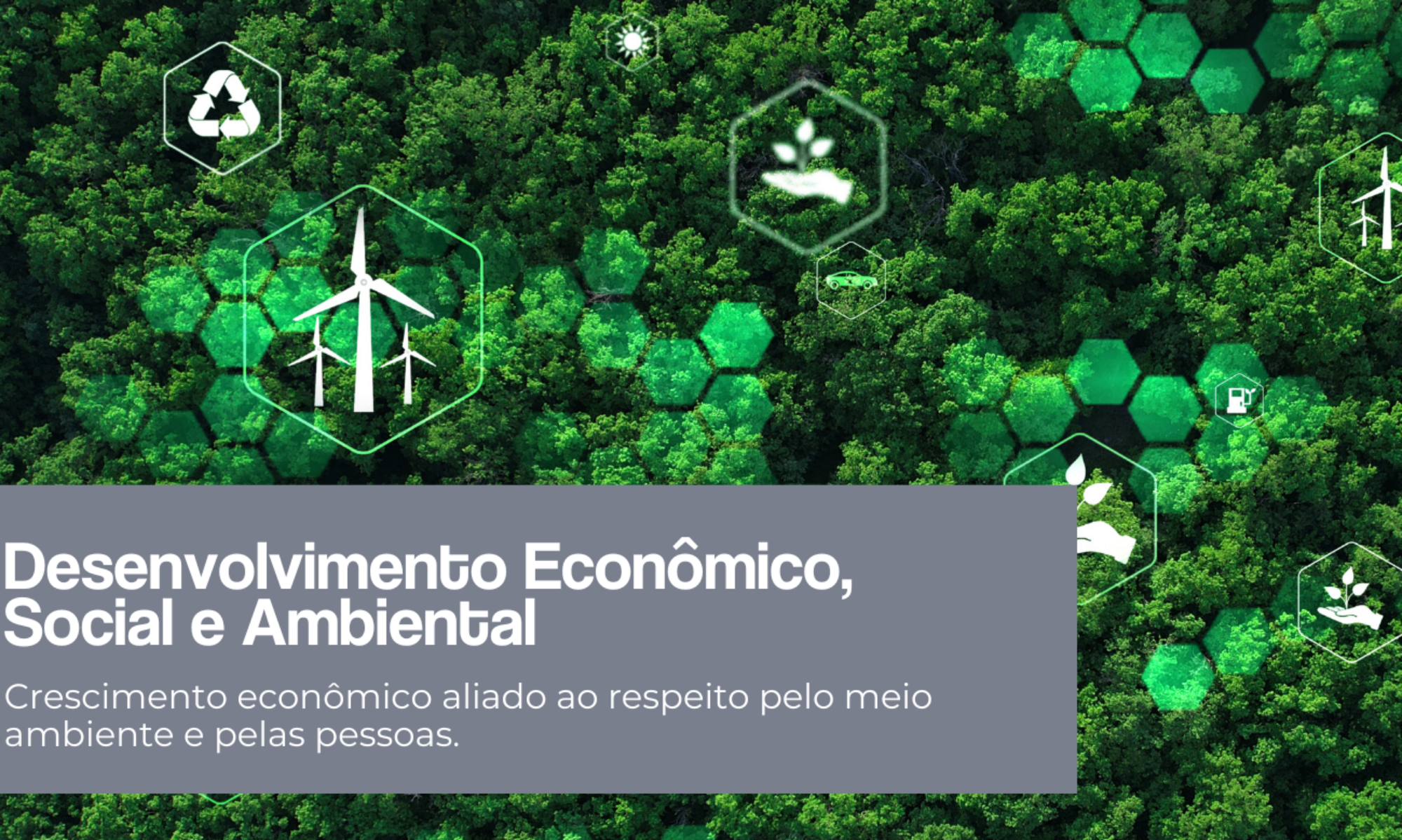 Desenvolvimento Econômico, Social e Ambiental
